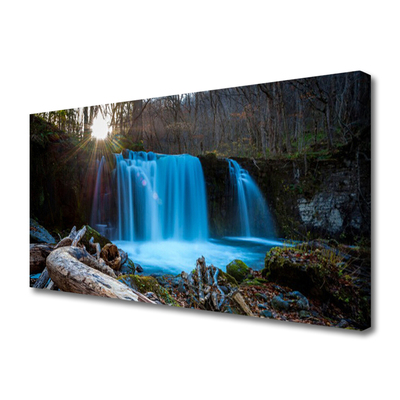 Leinwand-Bilder Sonne Wald Wasserfall Natur