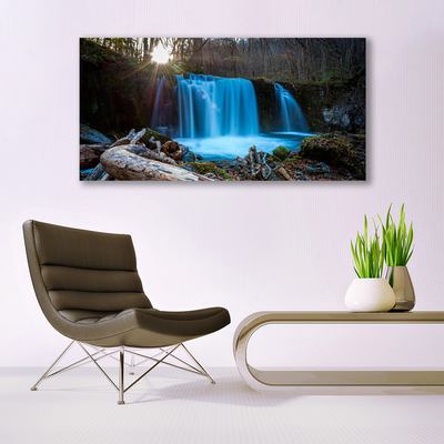 Leinwand-Bilder Sonne Wald Wasserfall Natur