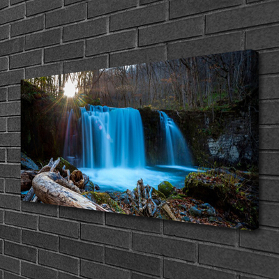 Leinwand-Bilder Sonne Wald Wasserfall Natur