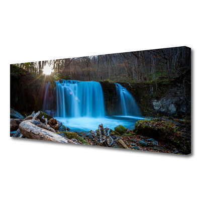 Leinwand-Bilder Sonne Wald Wasserfall Natur