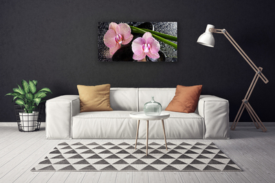 Leinwand-Bilder Stengel Blumen Pflanzen