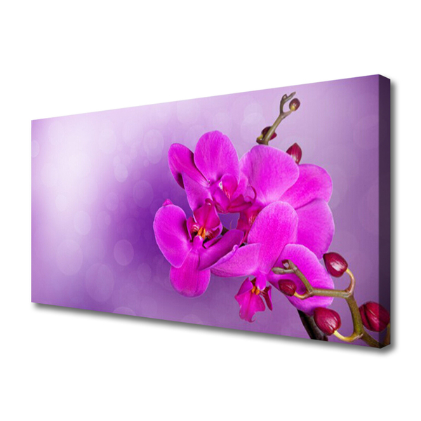 Leinwand-Bilder Blumen Pflanzen