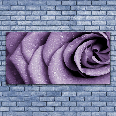 Leinwand-Bilder Rose Pflanzen