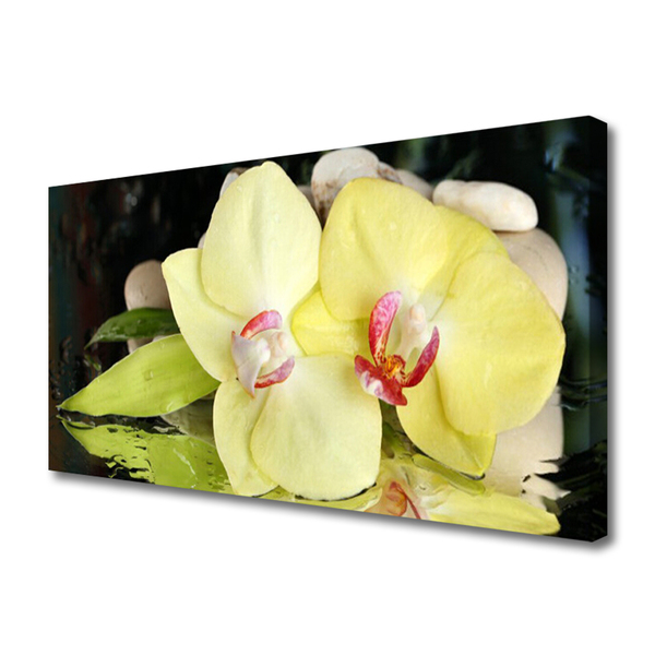 Leinwand-Bilder Blumen Blatt Pflanzen