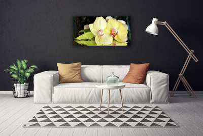 Leinwand-Bilder Blumen Blatt Pflanzen