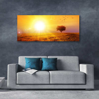 Leinwand-Bilder Sonne Wiese Landschaft