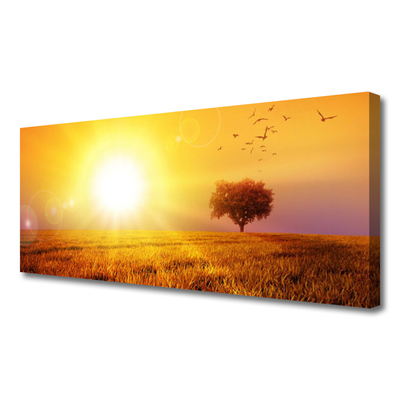 Leinwand-Bilder Sonne Wiese Landschaft