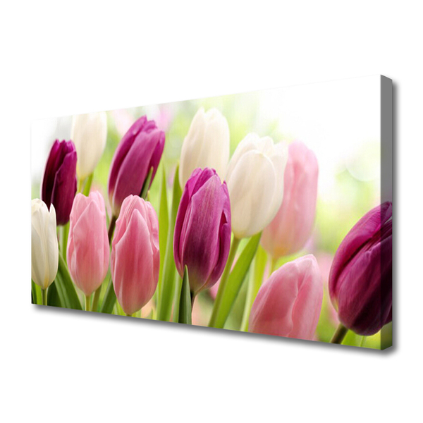 Leinwand-Bilder Tulpen Pflanzen