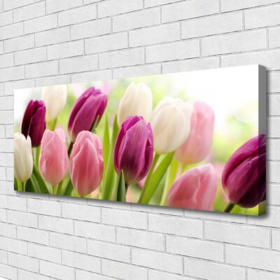 Leinwand-Bilder Tulpen Pflanzen