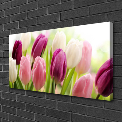 Leinwand-Bilder Tulpen Pflanzen