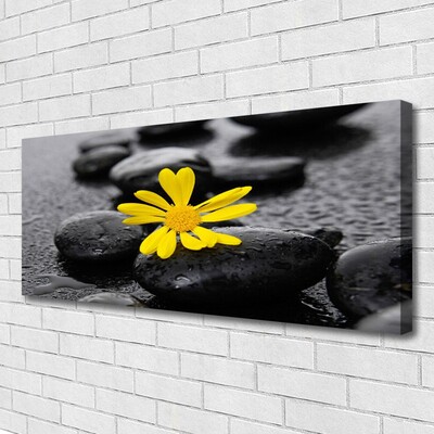 Leinwand-Bilder Blume Steine Kunst