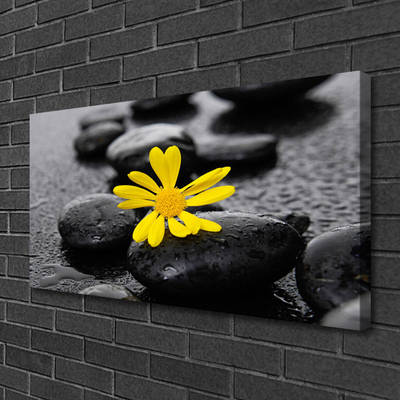 Leinwand-Bilder Blume Steine Kunst