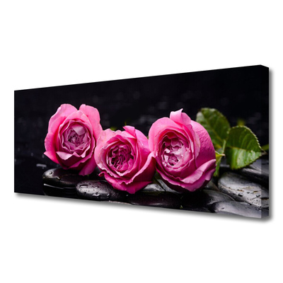 Leinwand-Bilder Rosen Steine Pflanzen