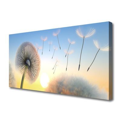 Leinwand-Bilder Pusteblume Pflanzen