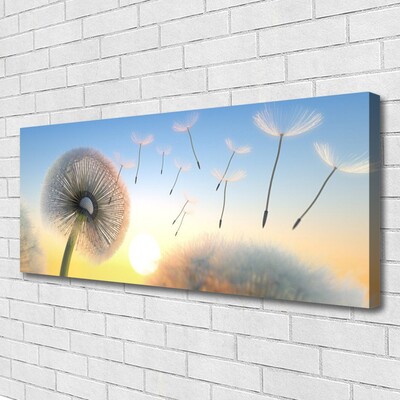 Leinwand-Bilder Pusteblume Pflanzen