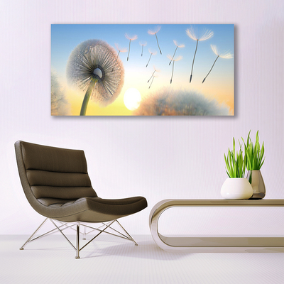 Leinwand-Bilder Pusteblume Pflanzen