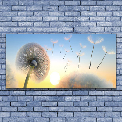 Leinwand-Bilder Pusteblume Pflanzen