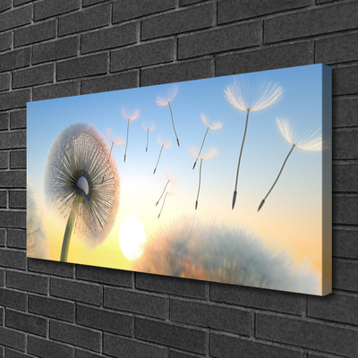 Leinwand-Bilder Pusteblume Pflanzen