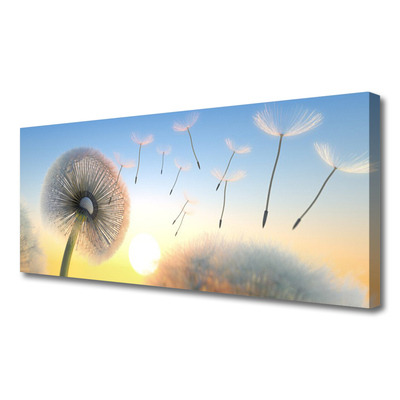 Leinwand-Bilder Pusteblume Pflanzen