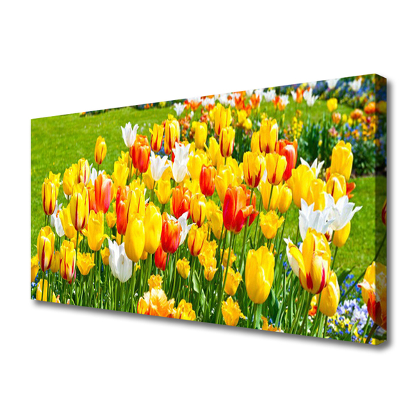 Leinwand-Bilder Tulpen Pflanzen