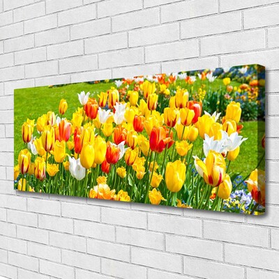 Leinwand-Bilder Tulpen Pflanzen