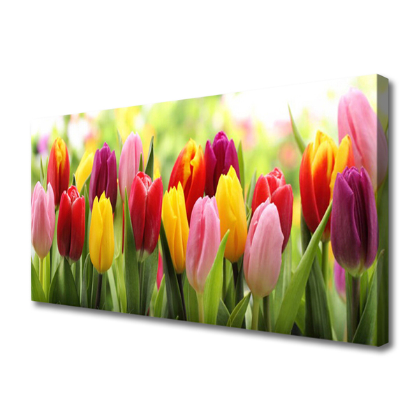 Leinwand-Bilder Tulpen Pflanzen