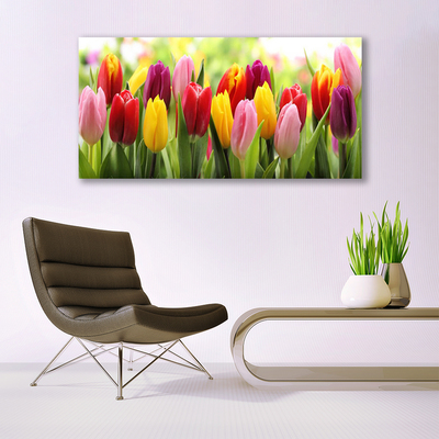 Leinwand-Bilder Tulpen Pflanzen