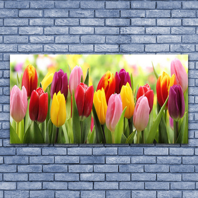 Leinwand-Bilder Tulpen Pflanzen