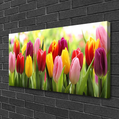 Leinwand-Bilder Tulpen Pflanzen