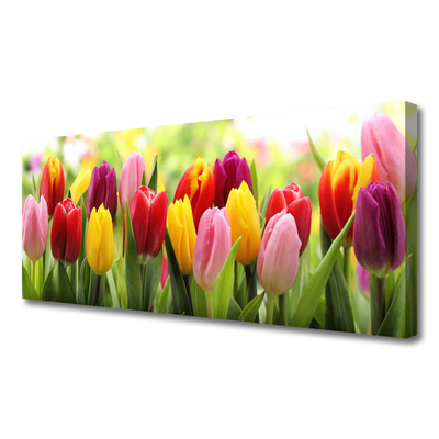 Leinwand-Bilder Tulpen Pflanzen