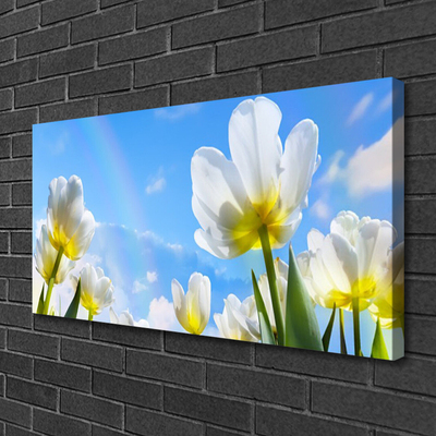 Leinwand-Bilder Blumen Pflanzen