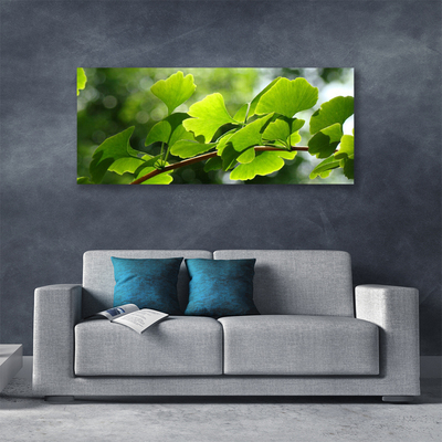 Leinwand-Bilder Zweig Blätter Pflanzen