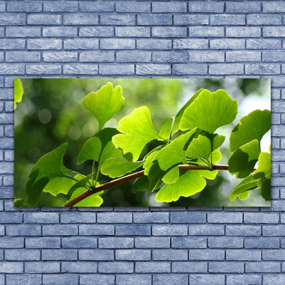 Leinwand-Bilder Zweig Blätter Pflanzen