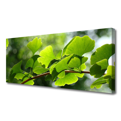 Leinwand-Bilder Zweig Blätter Pflanzen
