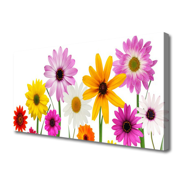 Leinwand-Bilder Blumen Pflanzen