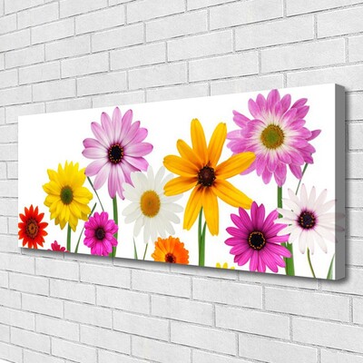 Leinwand-Bilder Blumen Pflanzen