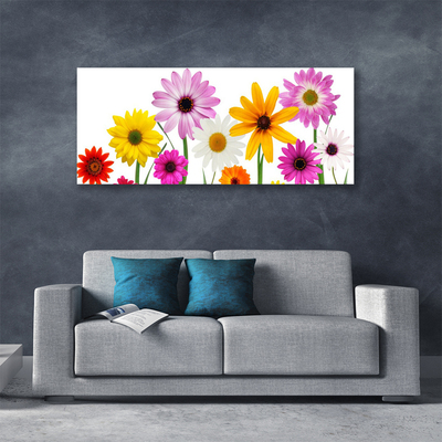 Leinwand-Bilder Blumen Pflanzen