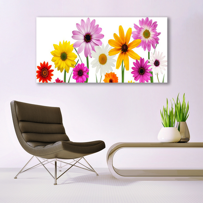 Leinwand-Bilder Blumen Pflanzen