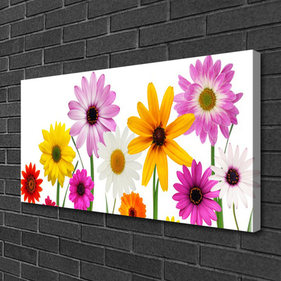 Leinwand-Bilder Blumen Pflanzen