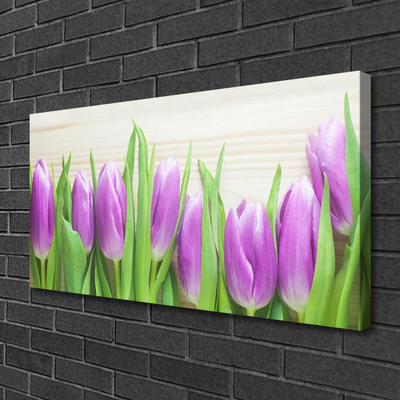 Leinwand-Bilder Tulpen Pflanzen