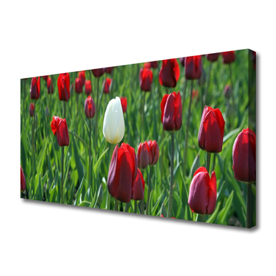 Leinwand-Bilder Tulpen Pflanzen