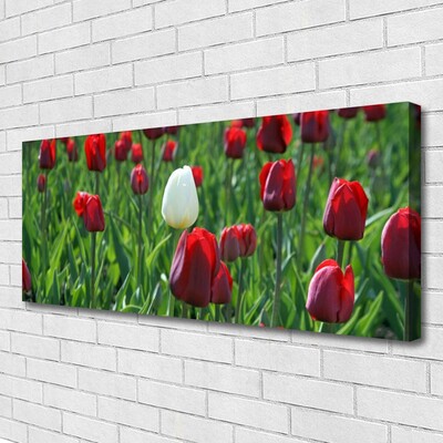 Leinwand-Bilder Tulpen Pflanzen