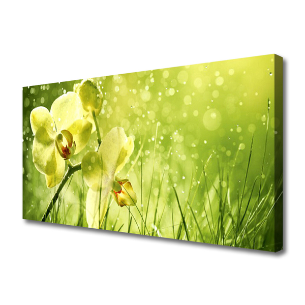 Leinwand-Bilder Gras Blumen Pflanzen