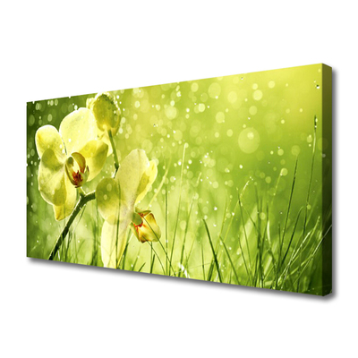 Leinwand-Bilder Gras Blumen Pflanzen