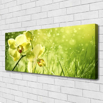 Leinwand-Bilder Gras Blumen Pflanzen