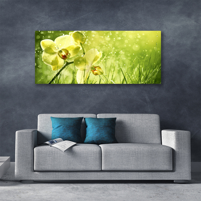 Leinwand-Bilder Gras Blumen Pflanzen