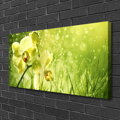 Leinwand-Bilder Gras Blumen Pflanzen