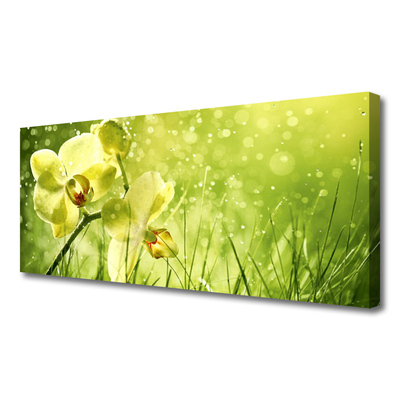 Leinwand-Bilder Gras Blumen Pflanzen