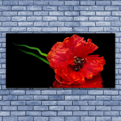 Leinwand-Bilder Blume Pflanzen