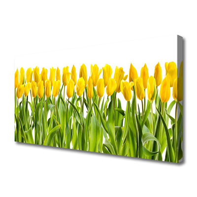 Leinwand-Bilder Tulpen Pflanzen